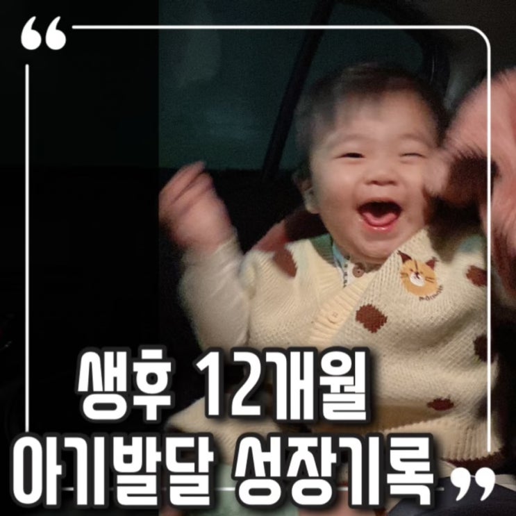  생후 12개월 아기발달 :: 걷기 대답하기 따라하기 싫다는 표현하기 도움요청하기