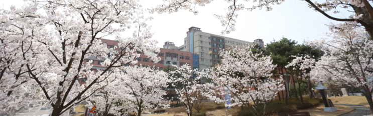 2022학년도 수원외국어고등학교 학교정보 2022학년도 수원외국어고등학교 학교정보