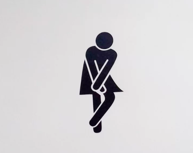 날아다니는 화장실이요! 냉정한 통계입니다! Poo Guru의 데뷔입니다. 네, 세계 화장실의 날입니다. 날아다니는 화장실이요! 냉정한 통계입니다! Poo Guru의 데뷔입니다. 네, 세계 화장실의 날입니다.