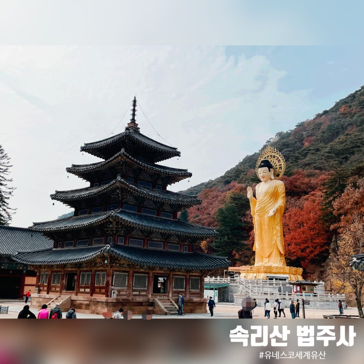  속리산 법주사 - 유네스코 세계문화유산으로 떠나는 가을 단풍 여행