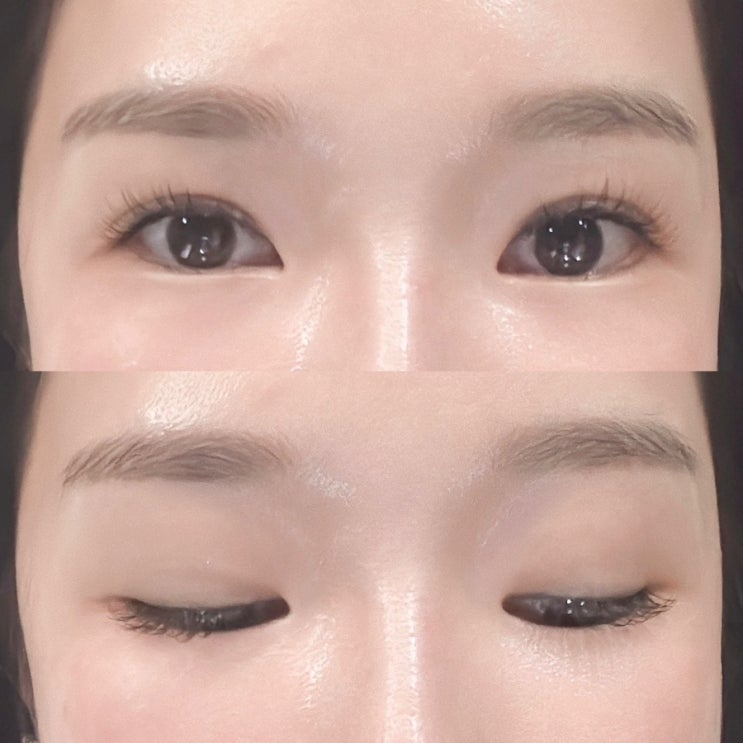 강남역 속눈썹 래쉬돌 4년째 단골인 이유가 있는 곳 :)
