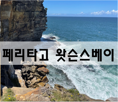  시드니시티 페리타고 왓슨스베이 둘러보기[호주여행]