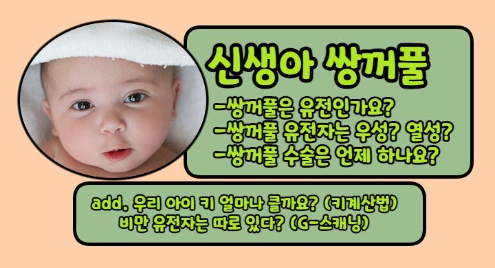  신생아 쌍꺼풀은 유전인가요? (키 유전, 비만 유전)