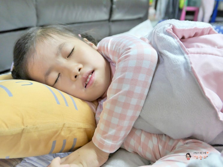  가을이불 먼지없는 고밀도 극세사 핑크 차렵이불
