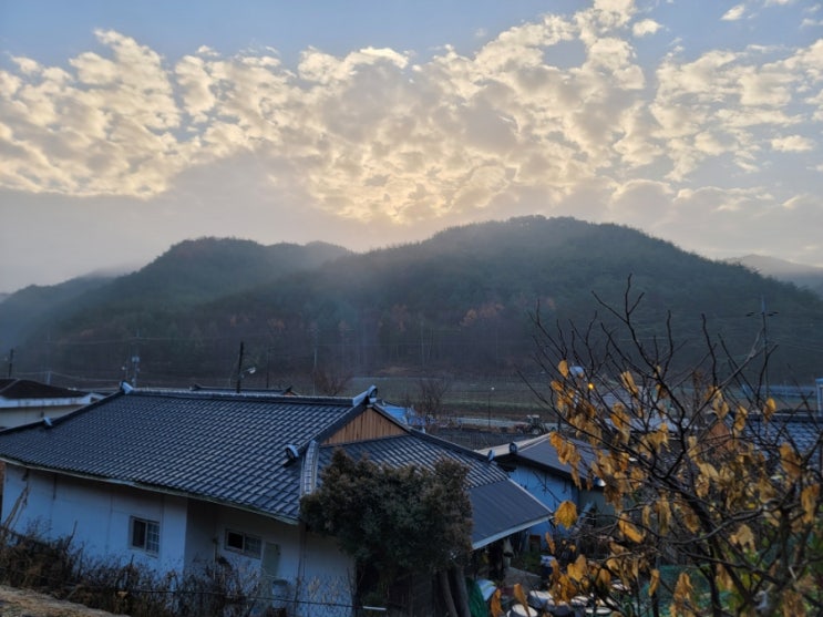  청송의 고향집에서 본 겨울풍경