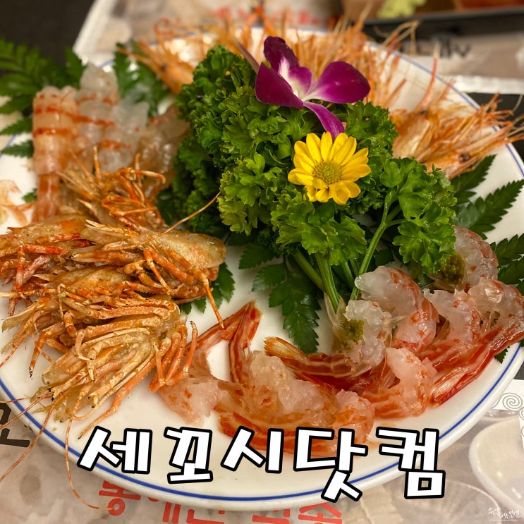  [신논현역 횟집] 꽃새우 닭새우 맛집 세꼬시닷컴