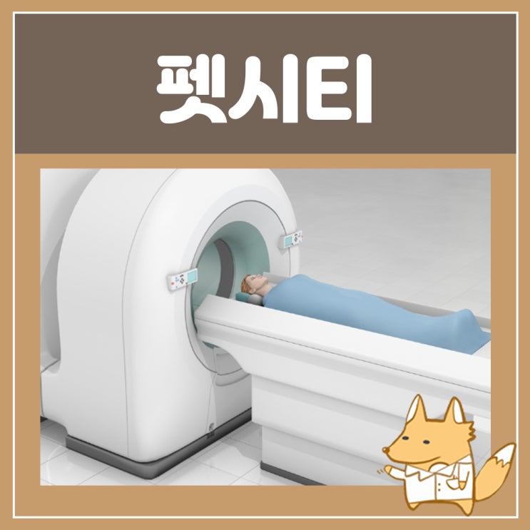  펫시티 비용 PET CT 검사 암검사