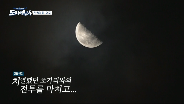  도시어부 시즌4 19회 경주 대삼치 & 참치 낚시 결과 요약