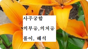 궁합 의처증 <b>의부증</b> <b>남편</b>, 아내 사주팔자에서 풀어 보는 관점은... 