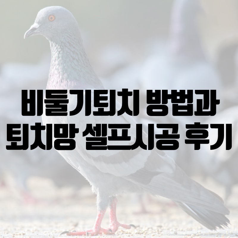 비둘기퇴치 다양한 방법과 퇴치망 셀프설치 후기