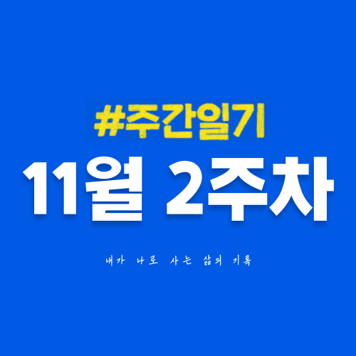 11월 2주차 | 외부 일정이 잦았던 한 주, 다시 일상으로 복귀