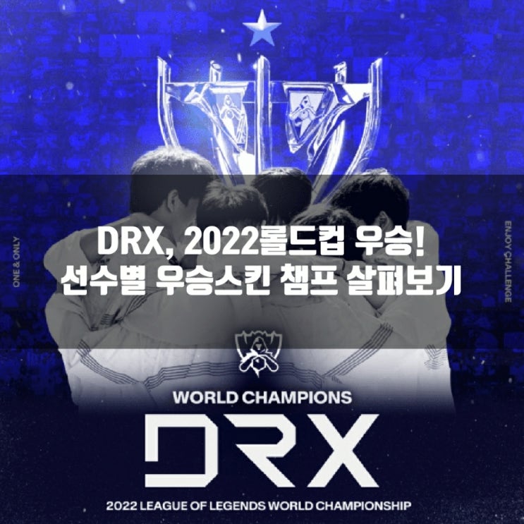 2022롤드컵 DRX우승스킨은?