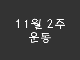  [블챌] 11월 2주 운동