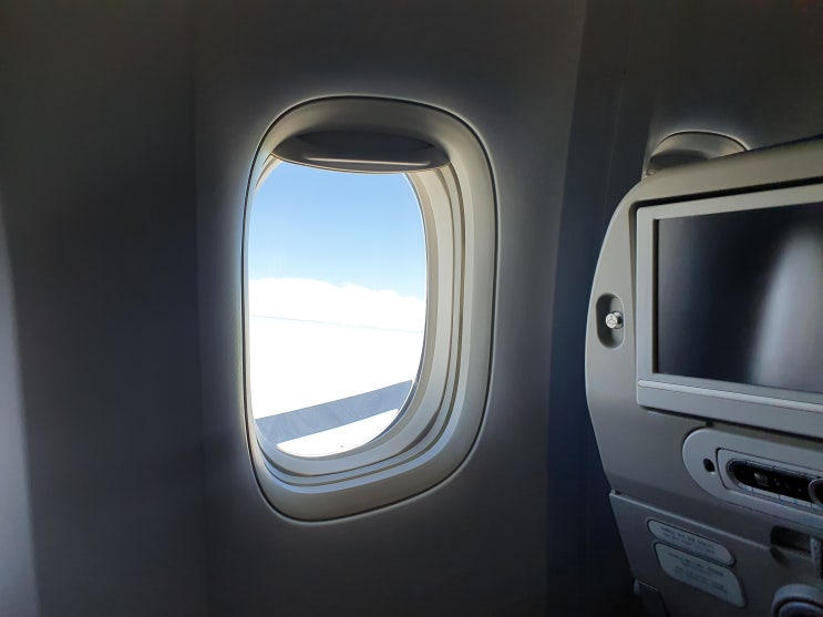 뉴질랜드 패키지 쇼핑센터, 오클랜드 공항, 대한항공 | 9일차