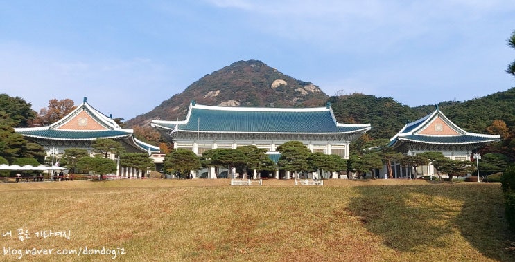  11월 둘째 주 주간일기(11월 7일~11월13일) - 총 24번째 나의 인생 2기 보고서