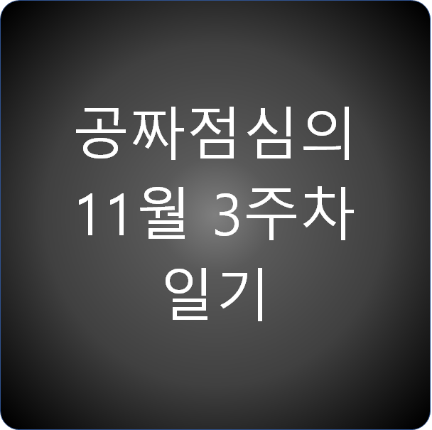 공짜점심의 11월 3주차 일기