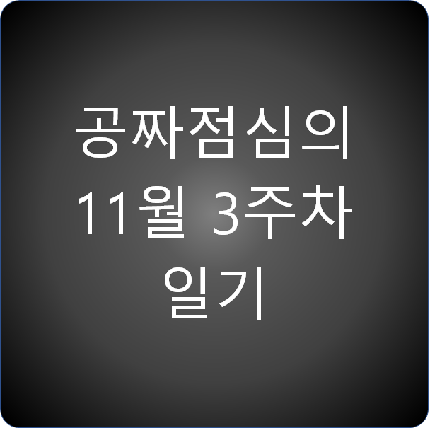  공짜점심의 11월 3주차 일기