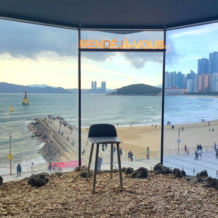 11월 둘째주 소소한 가을 일상 11월 둘째주 소소한 가을 일상