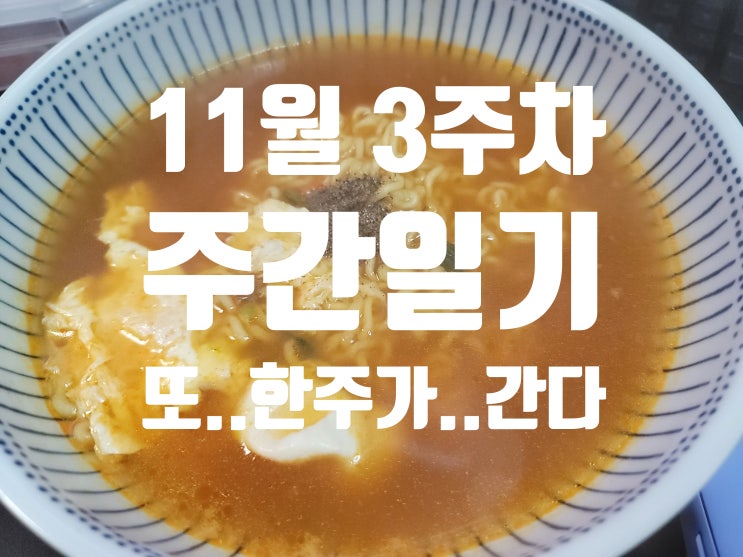  11월 3주 차 주간일기 나의 일주일간의 기록