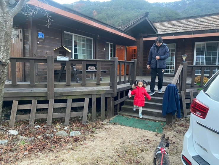  [11월14일~20일] 11월 주간일기 두번째