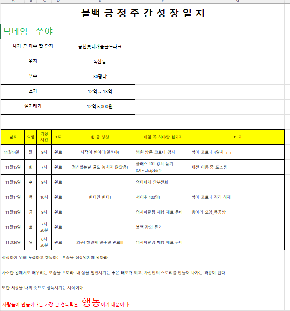  [블백] 첫번째 주간성장일지(22. 11. 14~20) #007