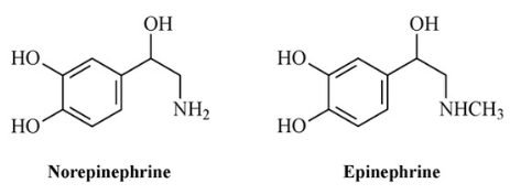  desmethyl과 nor