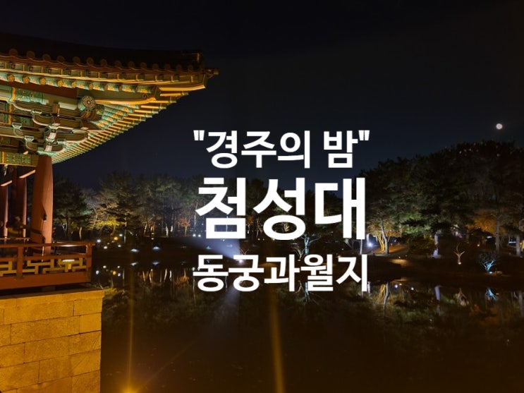 [겨울 경주 야경 투어] 아이와 첨성대 동궁과 월지