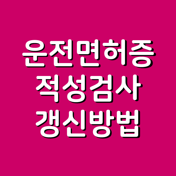  운전면허증 갱신 적성검사 - 인터넷 경찰서 2가지 준비물, 방법, 후기