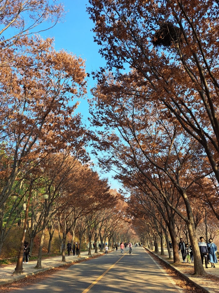  11월 세번째 일기