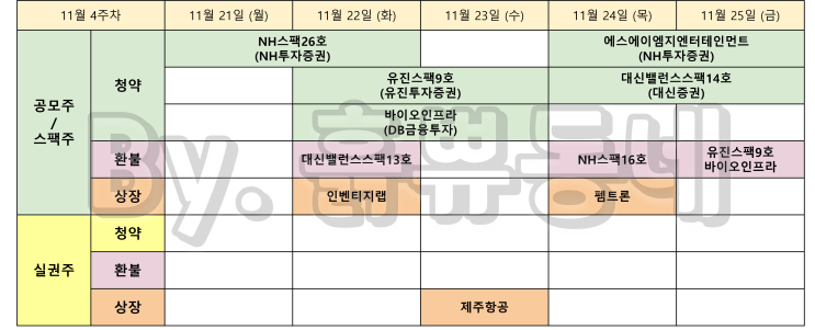  [이번주 공모주 일정] 11월 4주 공모주 청약 및 실권주 일정 (11/20 기준)