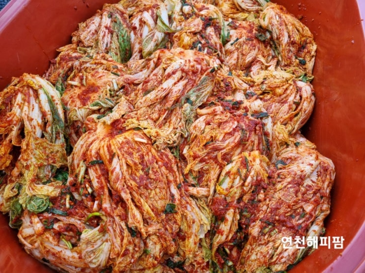  용인백암맛집 대원 배추 480포기 김장하는날