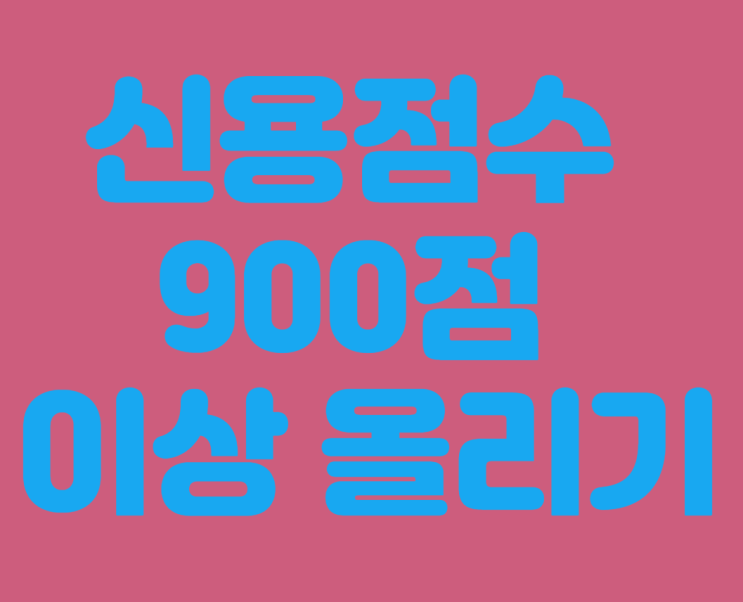  아무것도 안하고 신용점수 900점대 이상 올린 방법