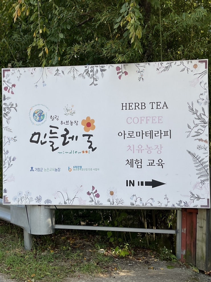 별들의고향 사진 2