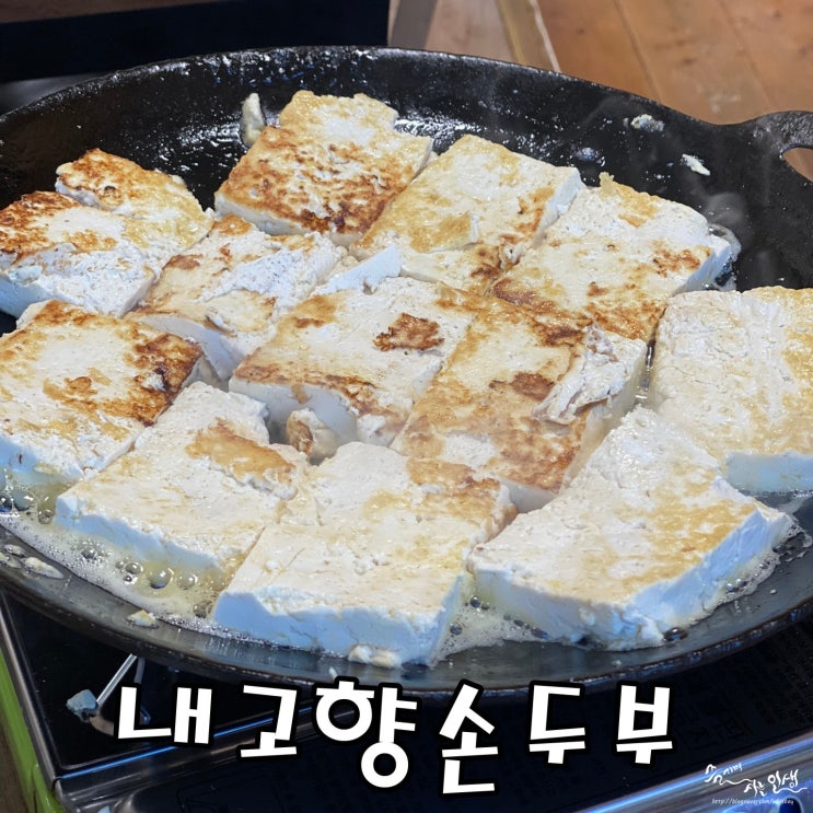  [홍천 맛집] 비콘힐스cc 맛집 내고향손두부