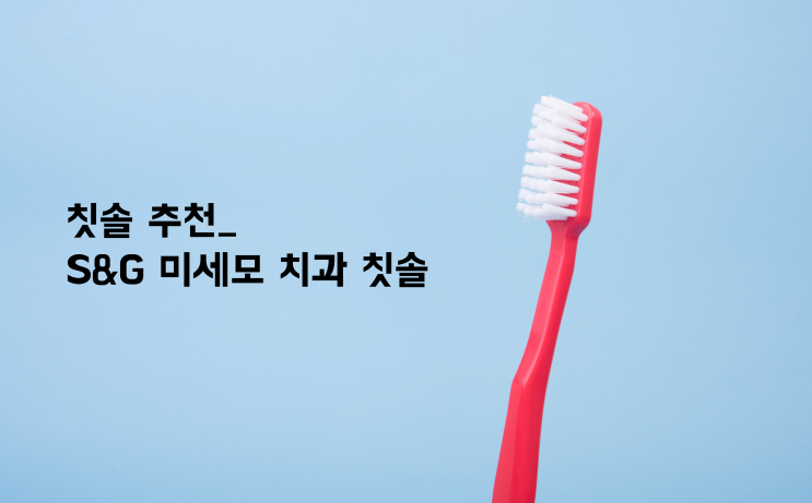  [칫솔 추천]  치석에 좋은 미세모 칫솔, 에스앤지 치과 칫솔