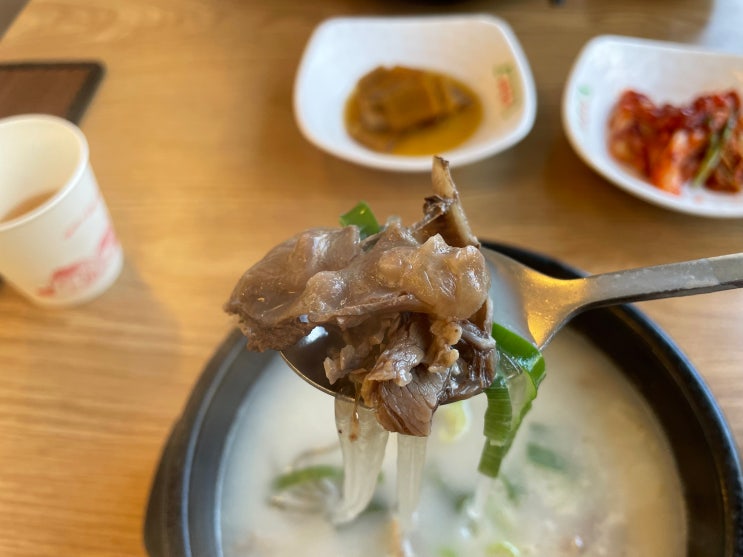  [강원도 원주 곰탕 맛집] 바우네 나주곰탕 기업도시점! 해장 최고!