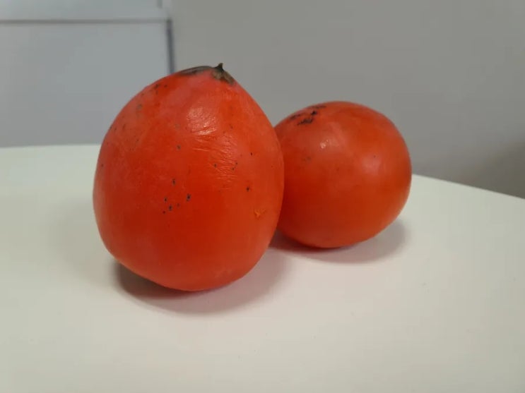  홍시가 알게 해준 마음
