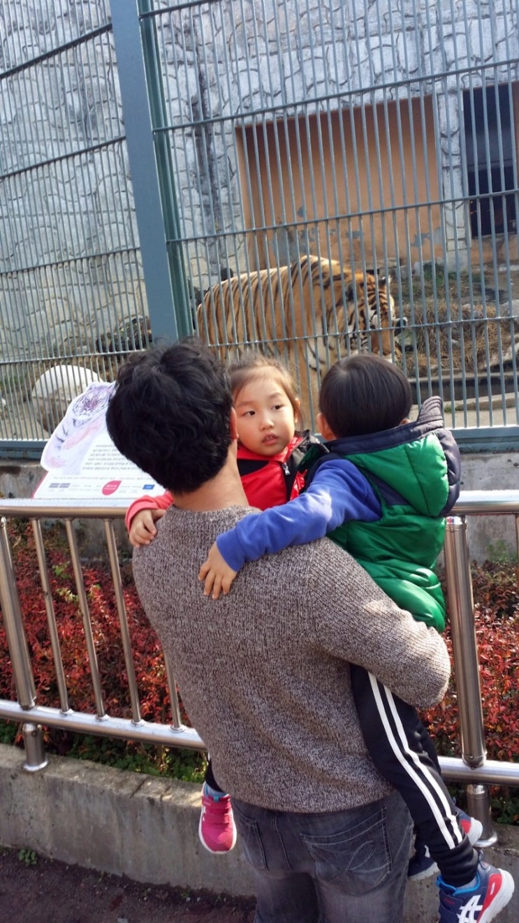 순간포착 11월 20일에 이런일이 | 슬쌍디아빠 과거로의 산책