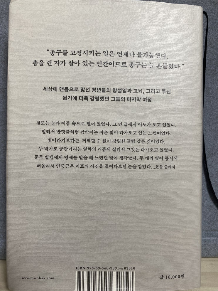 하얼빈, 김훈 장편소설, 베스트셀러 리뷰(안중근 의사)