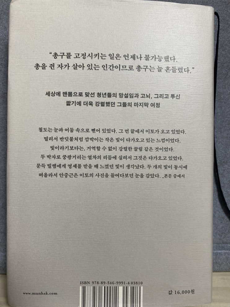  하얼빈, 김훈 장편소설, 베스트셀러 리뷰(안중근 의사)