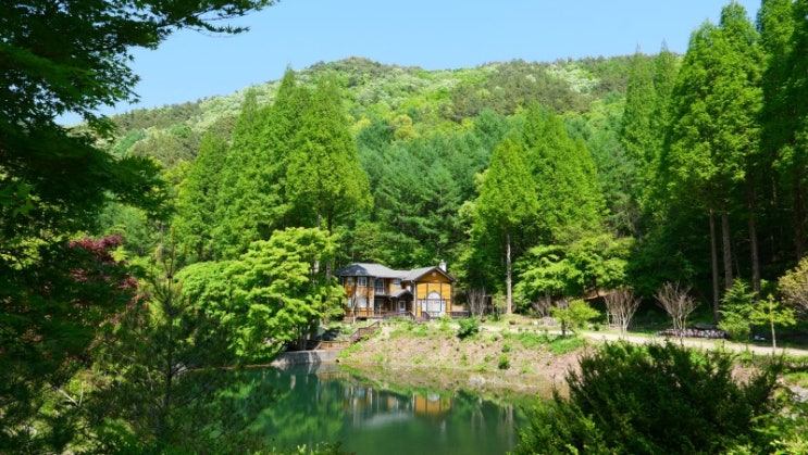  충남 논산 - 온빛자연휴양림~~~