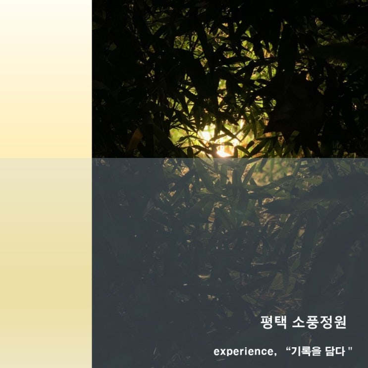  평택 소풍정원을 가다. 캠핑장,주차