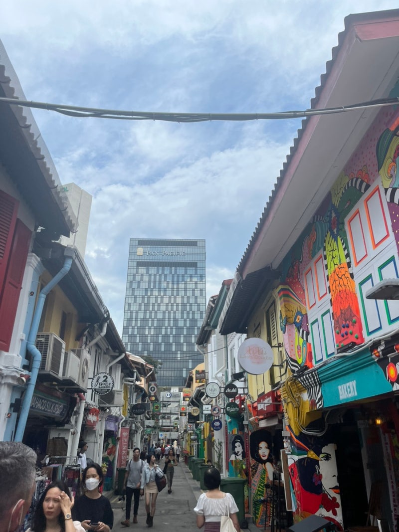 싱가포르 관광지 추천, 하지레인(아랍거리)새우국수 먹고 소품샵구경 : 네이버 블로그