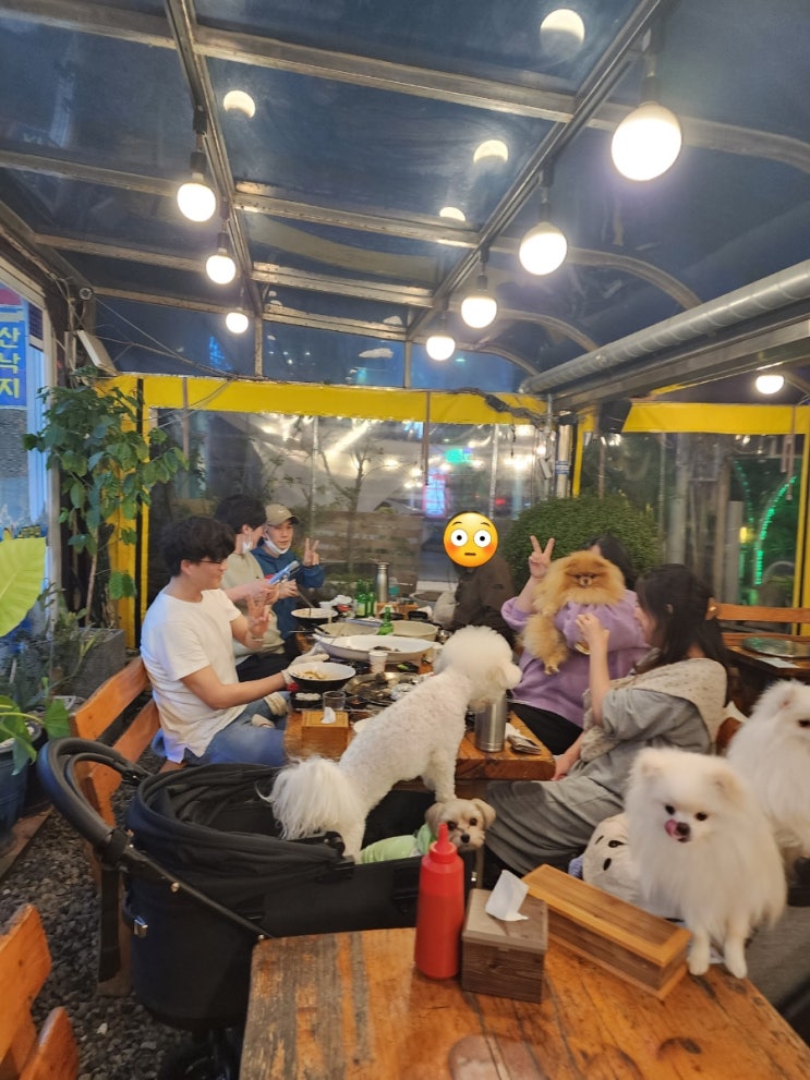  내돈내산) 바다 바로 앞에서 푸짐하고 싱싱한 조개를 맛볼수 있는 애견동반식당 오이도 뱃고동 조개구이