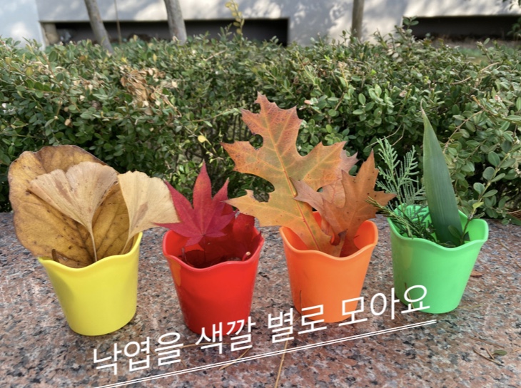  자연물을 색깔 별로 모아요(색깔놀이)