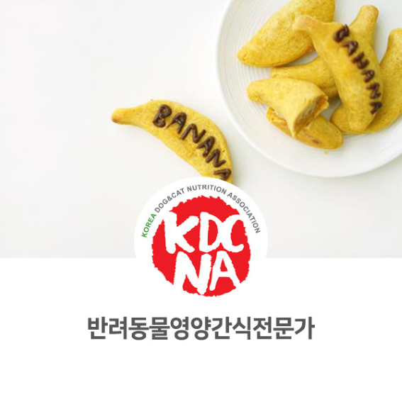  최수연펫푸드아카데미 반려동물영양간식전문가 커리큘럼 안내 [한국반려동물영양협회/애견수제간식창업/강아지수제간식/수원/과천/화성_1040]