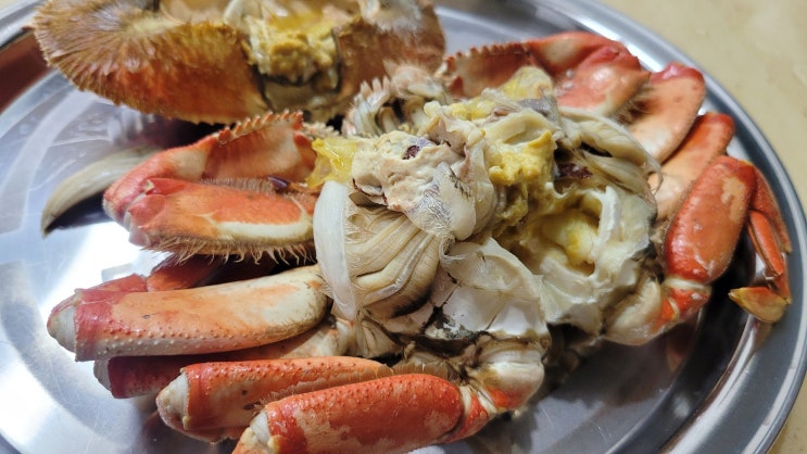  던지니스크랩 마요르카테이블 던전크랩 아이도 좋아해요~!