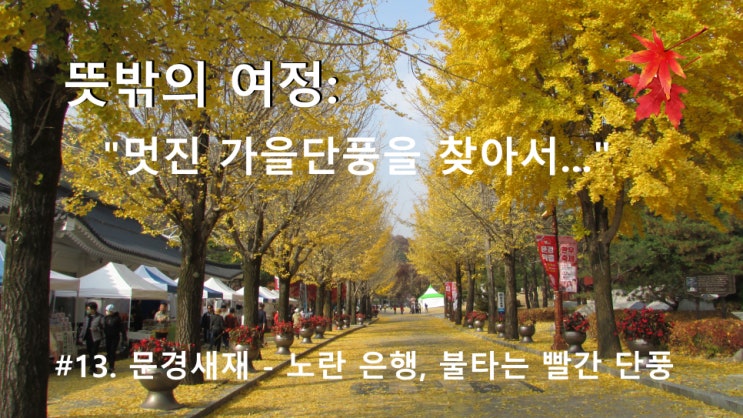 #13. 문경새재 - 노란 은행, 불타는 빨간 단풍 #13. 문경새재 - 노란 은행, 불타는 빨간 단풍