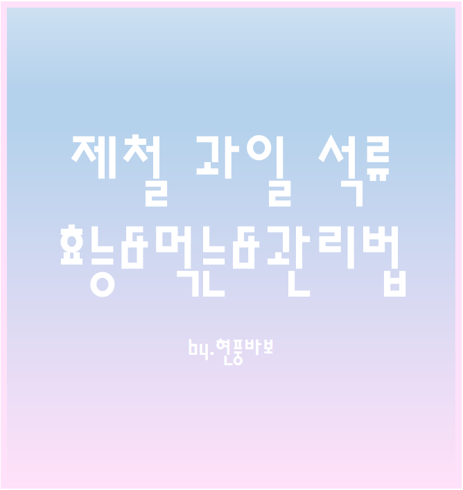 여성의 과일이라 불리는 석류(효능&먹는&보관방법 등)