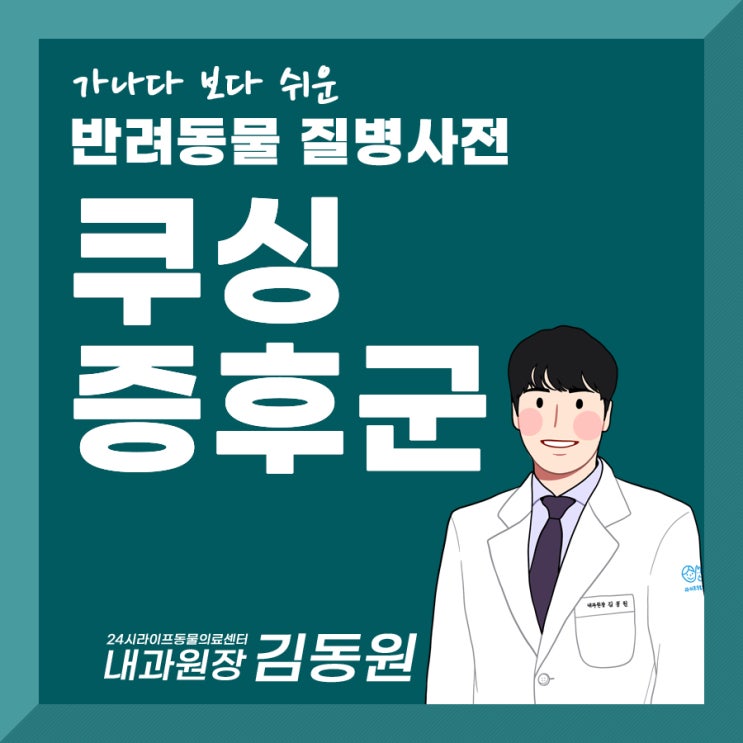 강아지 탈모? 합병증을 조심해야하는 강아지 쿠싱증후군 알아보기 / 대구24시동물병원